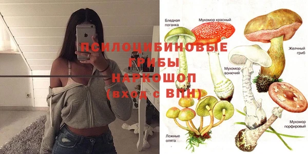 СК Навашино