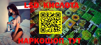 соль ск Будённовск