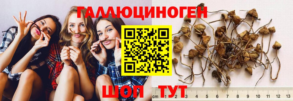 Североуральск  Галлюциногенные грибы Cubensis  Псилоцибиновые грибы ЛСД  Вход с VPN 