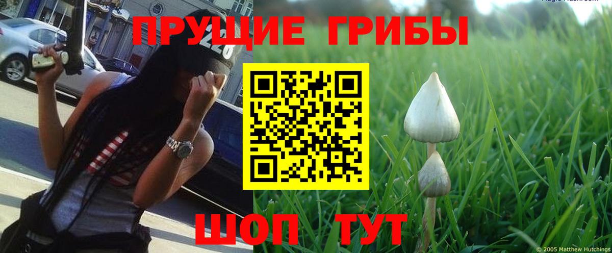 Галлюциногенные грибы MAGIC MUSHROOMS Североуральск